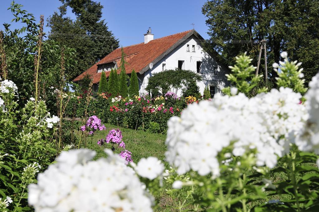 Agroturystyka Orzechowe Wzgorze Orzechowo  Kültér fotó