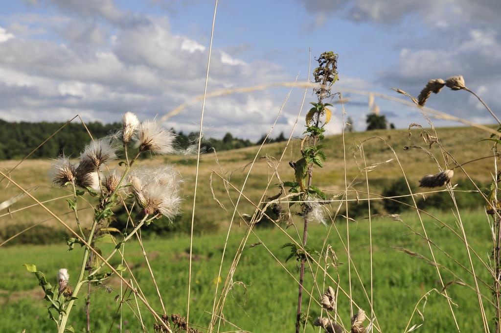 Agroturystyka Orzechowe Wzgorze Orzechowo  Kültér fotó