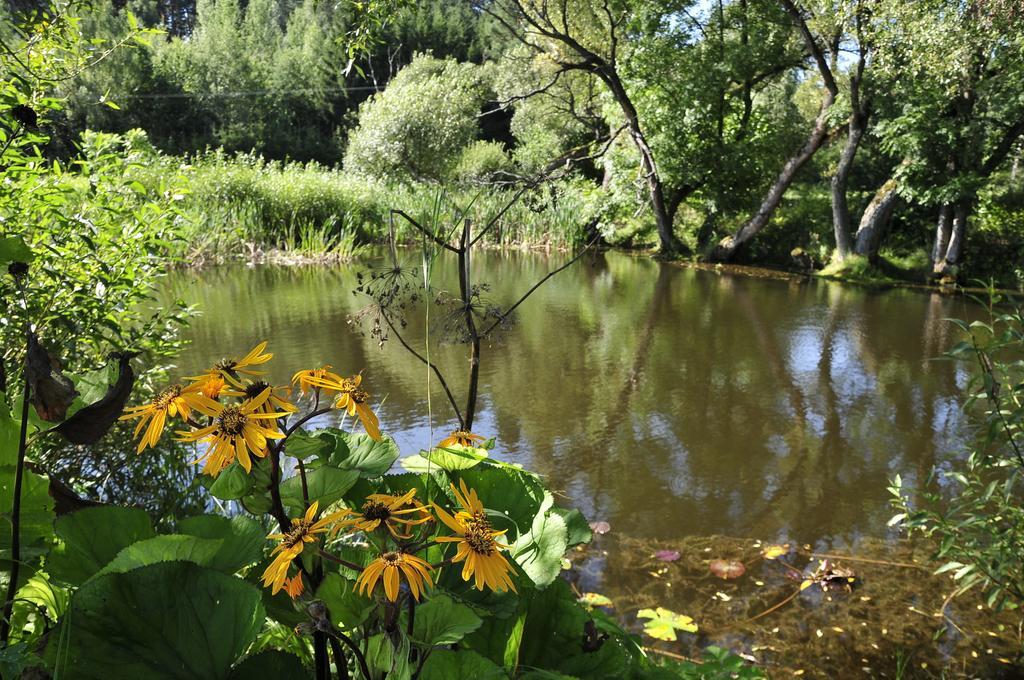 Agroturystyka Orzechowe Wzgorze Orzechowo  Kültér fotó